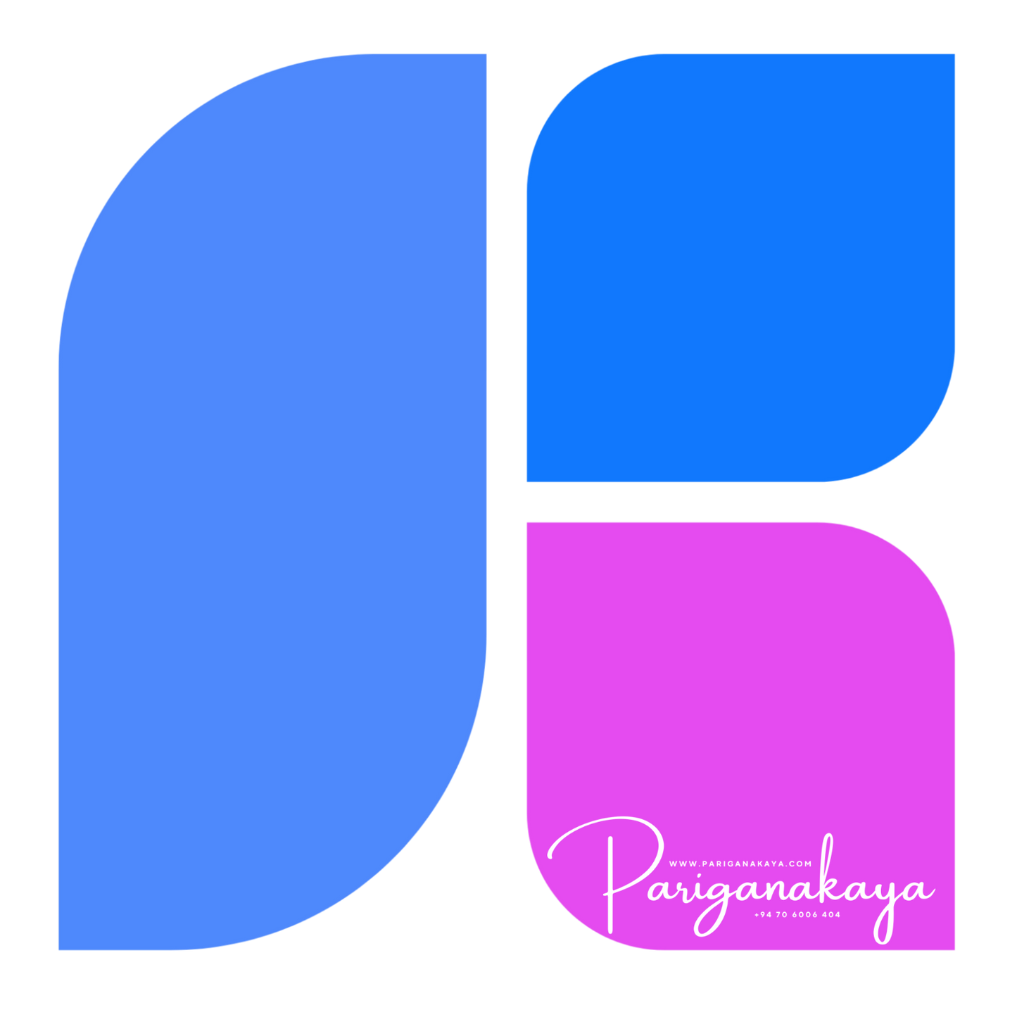 Digital Awareness Program (Basic – 3 Days)